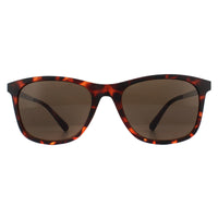 Calvin Klein Sunglasses CK19720S 235 Matte Tortoise Brown