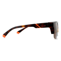 Polaroid Suncovers Sunglasses PLD 9012/S 9N4 SP Havana Brown Bronze Polarized