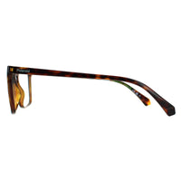 Polaroid Glasses Frames PLD D499 086 Havana Men