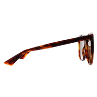 Gucci Sunglasses GG0024S 002 Havana Brown