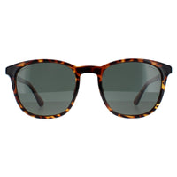 Police Sunglasses SPLF18E 978P Shiny Dark Havana Green Polarized