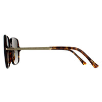 Jimmy Choo Sunglasses EPPIE/G/S 086 HA Havana Brown Gradient