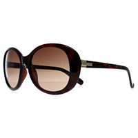 Seksy Sunglasses N2800 B Transparent Red Havana Brown Gradient