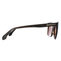 Calvin Klein Sunglasses 4194 379 Black Marble Brown