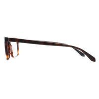 Ted Baker Glasses Frames TB8217 106 Brown Men