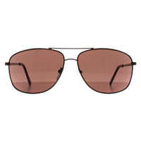 Calvin Klein Sunglasses CK19137S 200 Brown Brown