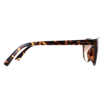 Calvin Klein Sunglasses CK20517S 235 Tortoise Brown Gradient