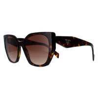 Prada Sunglasses PR19ZS 2AU6S1 Havana Brown Gradient