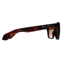 Gucci Sunglasses GG1571S 002 Havana Brown