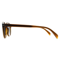 David Beckham Sunglasses DB 1036/S FMP KU Transparent Brown Blue