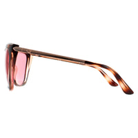 Guess Sunglasses GU7781 56S Havana Burgundy