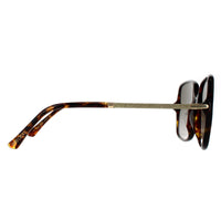 Jimmy Choo Sunglasses EPPIE/G/S 086 HA Havana Brown Gradient