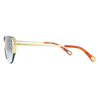 Chloe Sunglasses Curtis CE163S 816 Gold Blue Gradient