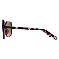 Radley Sunglasses Morwenna 161 Crystal Purple Brown Brown