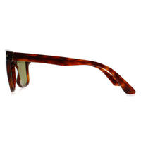 Serengeti Sunglasses Ethan SS575006 Shiny Classic Havana Mineral 555nm Photochromic