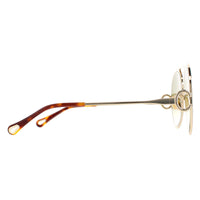 Chloe Sunglasses CH0145S 002 Gold Havana Green Gradient