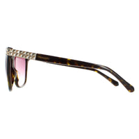 Swarovski Sunglasses SK0137 52F Dark Havana Purple Gradient