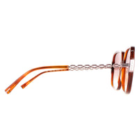 Ted Baker Sunglasses TB1616 Indi 307 Tortoise Brown Brown Gradient