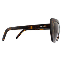 Prada Sunglasses PR08VS 2AU8C1 Havana Brown