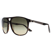 BMW Sunglasses BW0001 52P Dark Havana Green Gradient Polarized