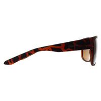 Dragon Sunglasses Rune 40725-246 Matte Tortoise Bronze