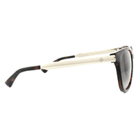 Polaroid Sunglasses 5015/S LLY 94 Havana Gold Brown Polarized