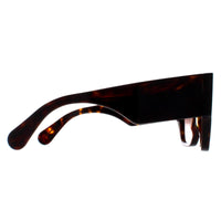 Chloe Sunglasses CH0233S 002 Dark Havana Brown Gradient