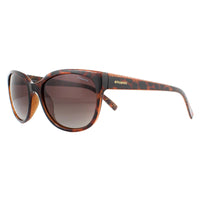 Polaroid Sunglasses PLD 4030/S Q3V LA Dark Havana Glitter Brown Gradient Polarized