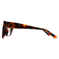 Prive Revaux Sunglasses Buena Vista 2.0 WR9 LA Tortoise Brown Gradient