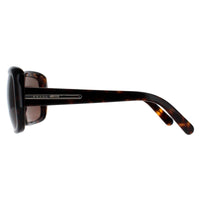 Prada Sunglasses PR19LS 2AU8C1 Havana Brown