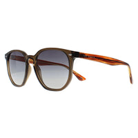 Ted Baker Sunglasses TB1655 Dock 949 Transparent Khaki Brown Striped Brown Grey Gradient