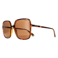 Polaroid Sunglasses PLD 6128/S 9N4 SP Havana Brown Polarized