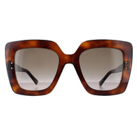 Jimmy Choo Sunglasses AURI/G/S 086 HA Havana Brown Gradient