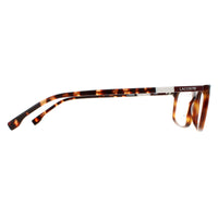 Lacoste Glasses Frames L2808 214 Havana Men
