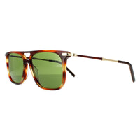 Salvatore Ferragamo Sunglasses SF966S 216 Striped Brown Solid Green