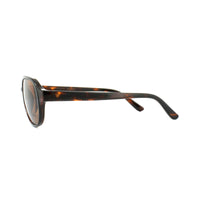 Serengeti Sunglasses Giorgio 8184 Shiny Dark Tortoise Polarized Drivers Brown
