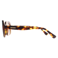 Barbour Sunglasses 3070 102 Havana Brown