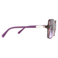 Swarovski Sunglasses SK0235-H 55T Pink Havana Bordeaux Gradient