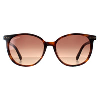 Swarovski Sunglasses SK0354 52F Dark Havana Brown Gradient