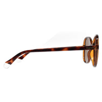 Polaroid Sunglasses PLD 4136/S 086 SP Havana Bronze Polarized