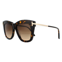 Tom Ford Sunglasses Dasha FT0822 52F Dark Havana Brown Gradient