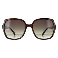 Smarty Sunglasses X2110 D Tortoise Brown Grey