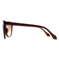 Calvin Klein Sunglasses CK19534S 210 Crystal Brown Brown Gradient