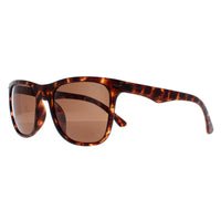 Police Sunglasses SPL357 Blackbird Light 2 878P Matte Dark Havana Brown
