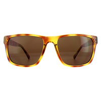 Guess Sunglasses GU6795 K08 Havana Brown Gradient