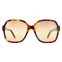 Marc Jacobs Sunglasses MARC 526/S 086 HA Havana Brown Gradient