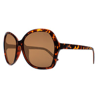 Atum Sunglasses Aelius C2 Shiny Havana Brown Gradient