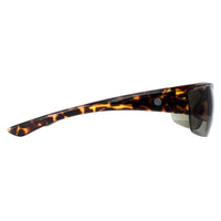 Smarty Sunglasses X2036 C Demi Brown Tortoise Green