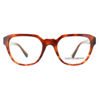 Dolce & Gabbana Glasses Frames DG 3277 3144 Dark Havana Amber Havana 51mm Mens