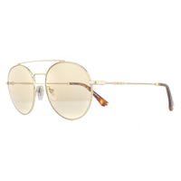 Police Sunglasses SPL728 8FFF Shiny Light Gold Havana Brown